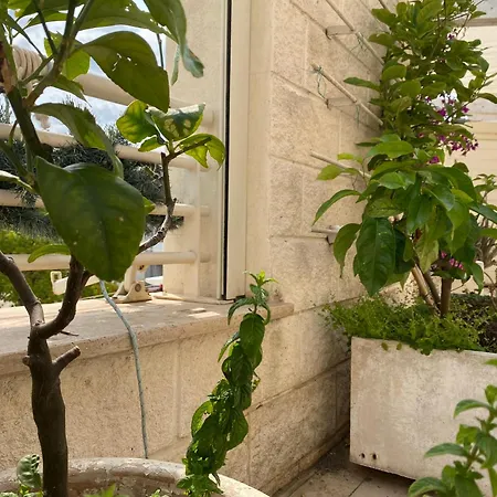 公寓 La Terrazza Sul Borgo